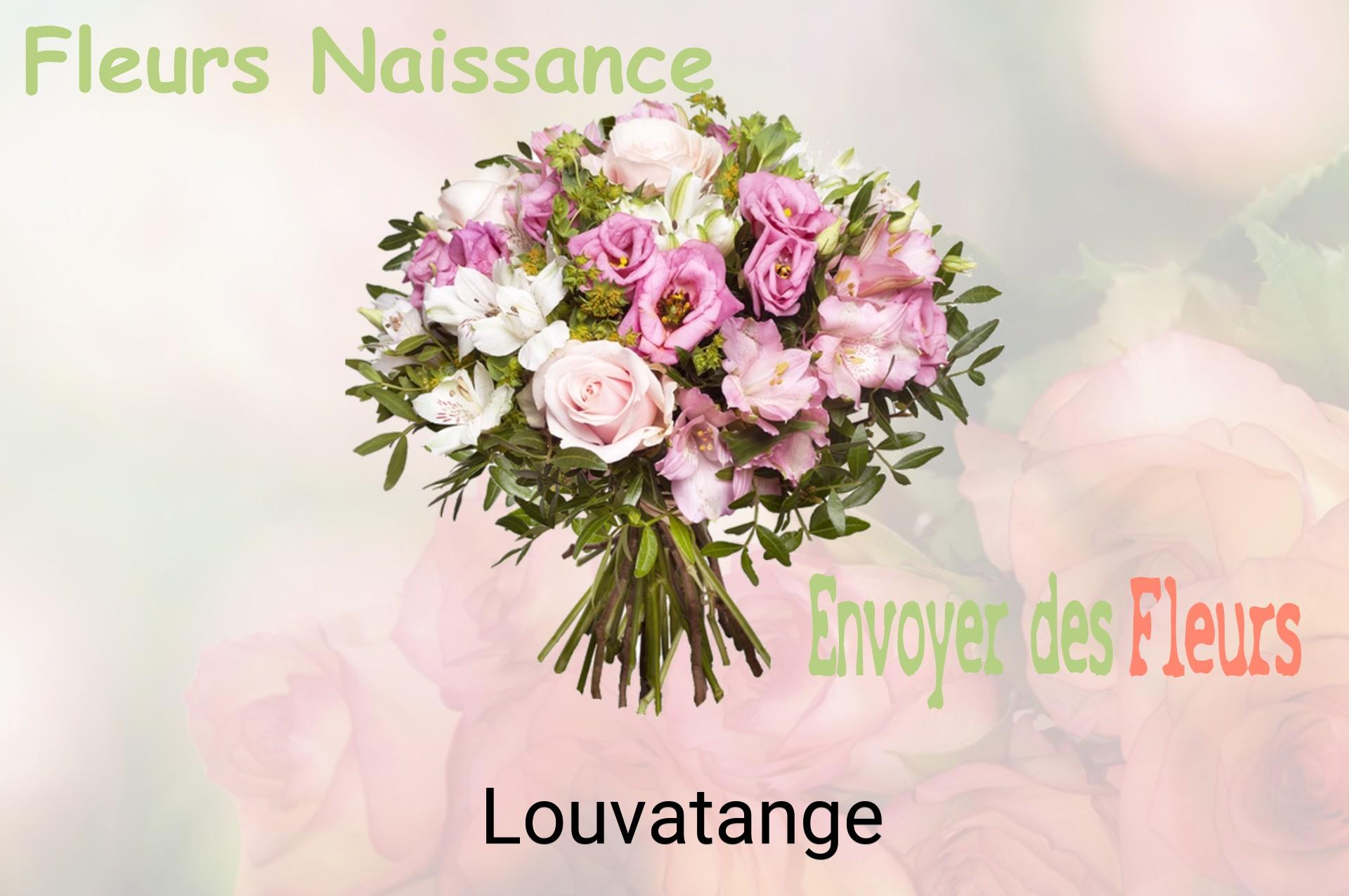 Bouquet de fleurs de naissance livré à Louvatange
