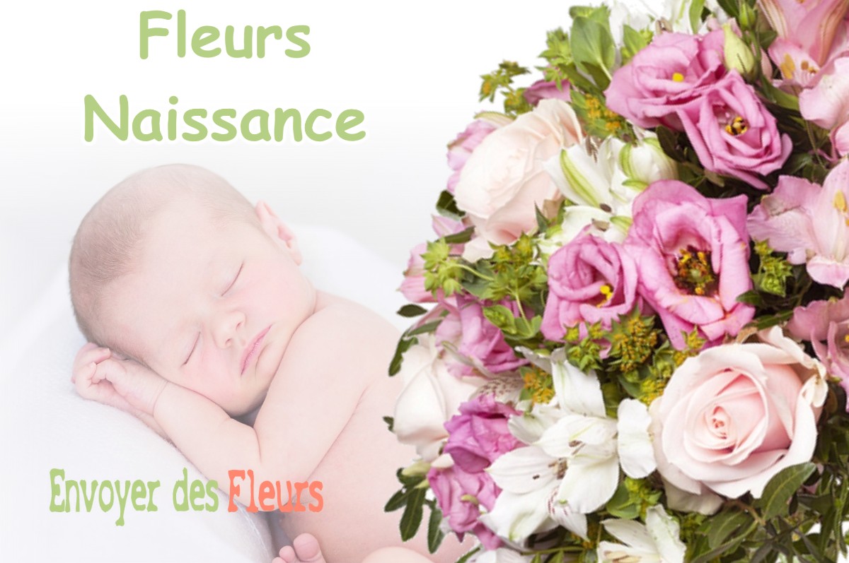 lIVRAISON FLEURS NAISSANCE à LOUVATANGE